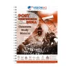 Vision IAS Post Independence Indian History Notes